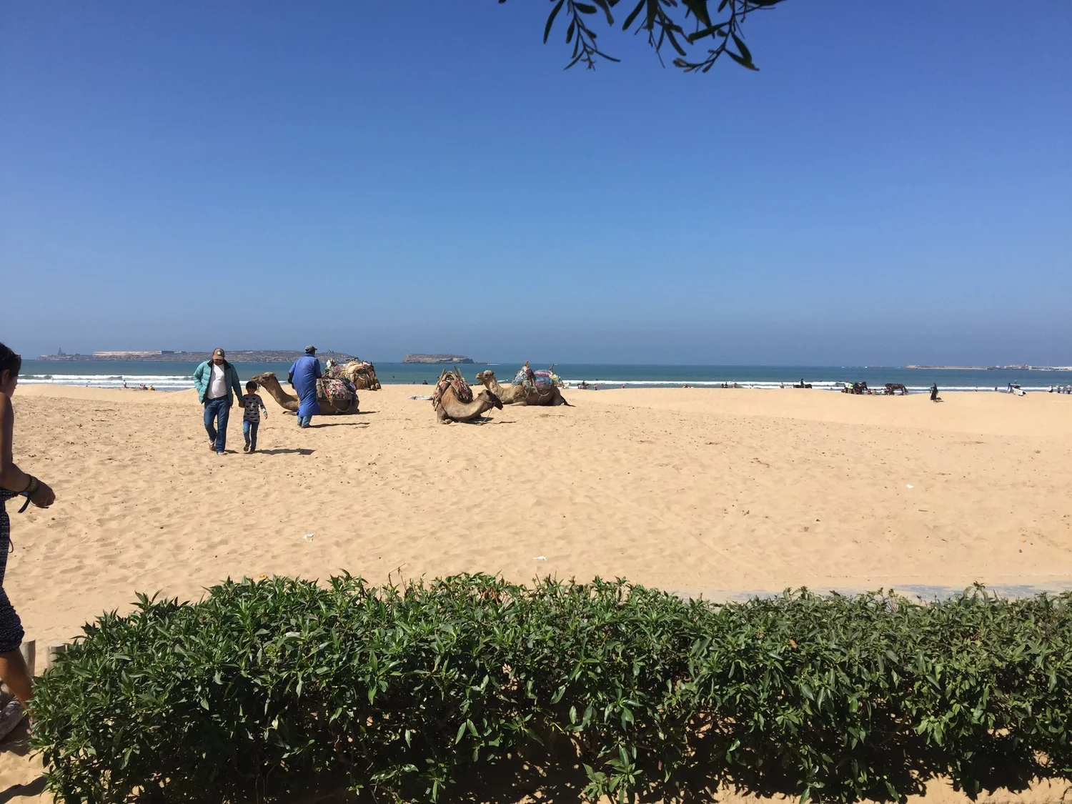 IMG_0174.jpeg