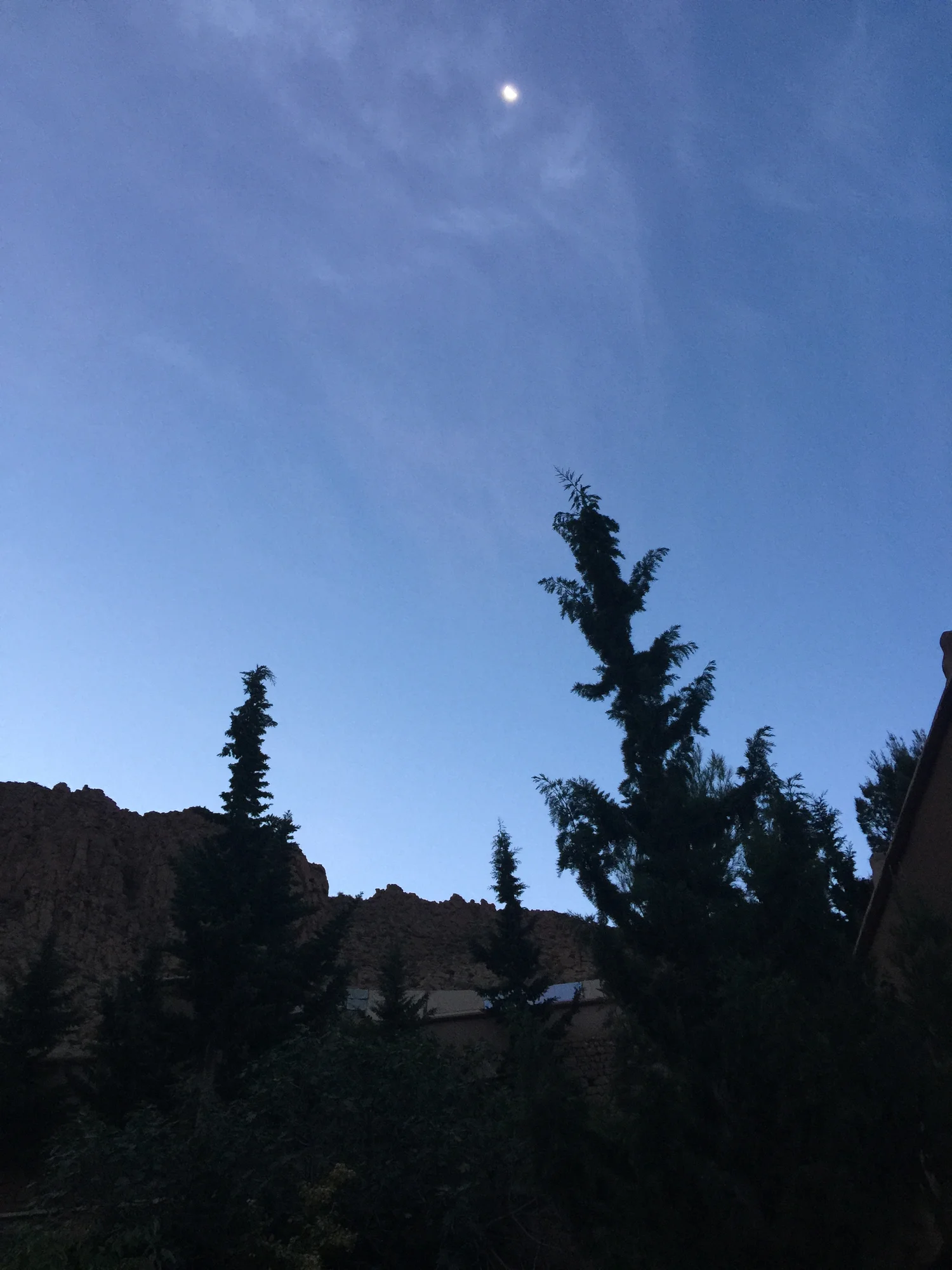 IMG_0434.jpeg