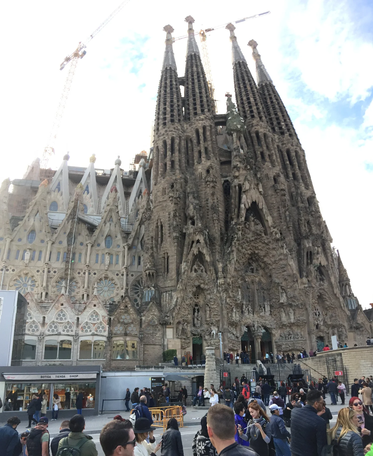 IMG_0796.jpeg