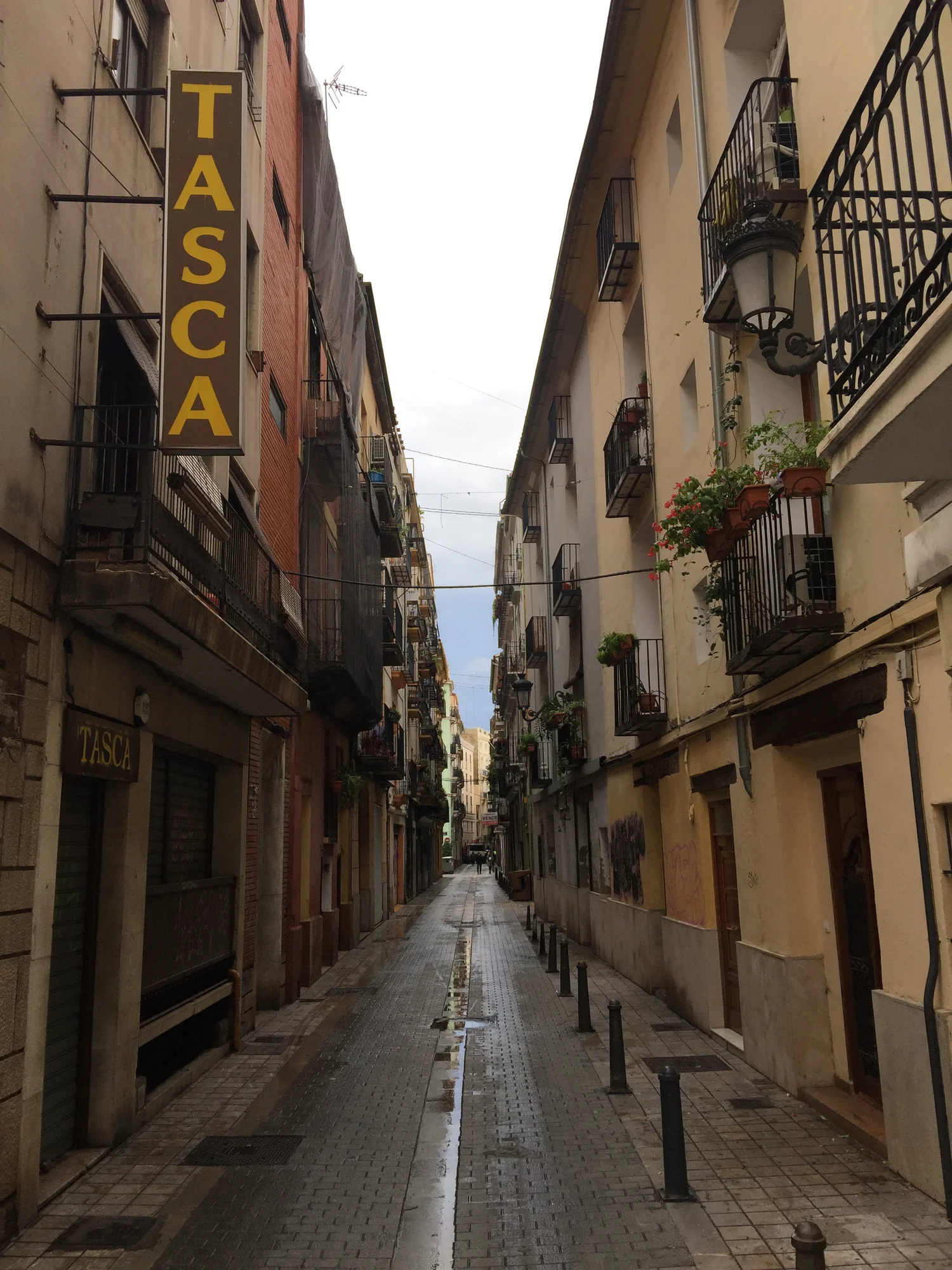 IMG_0927.jpeg
