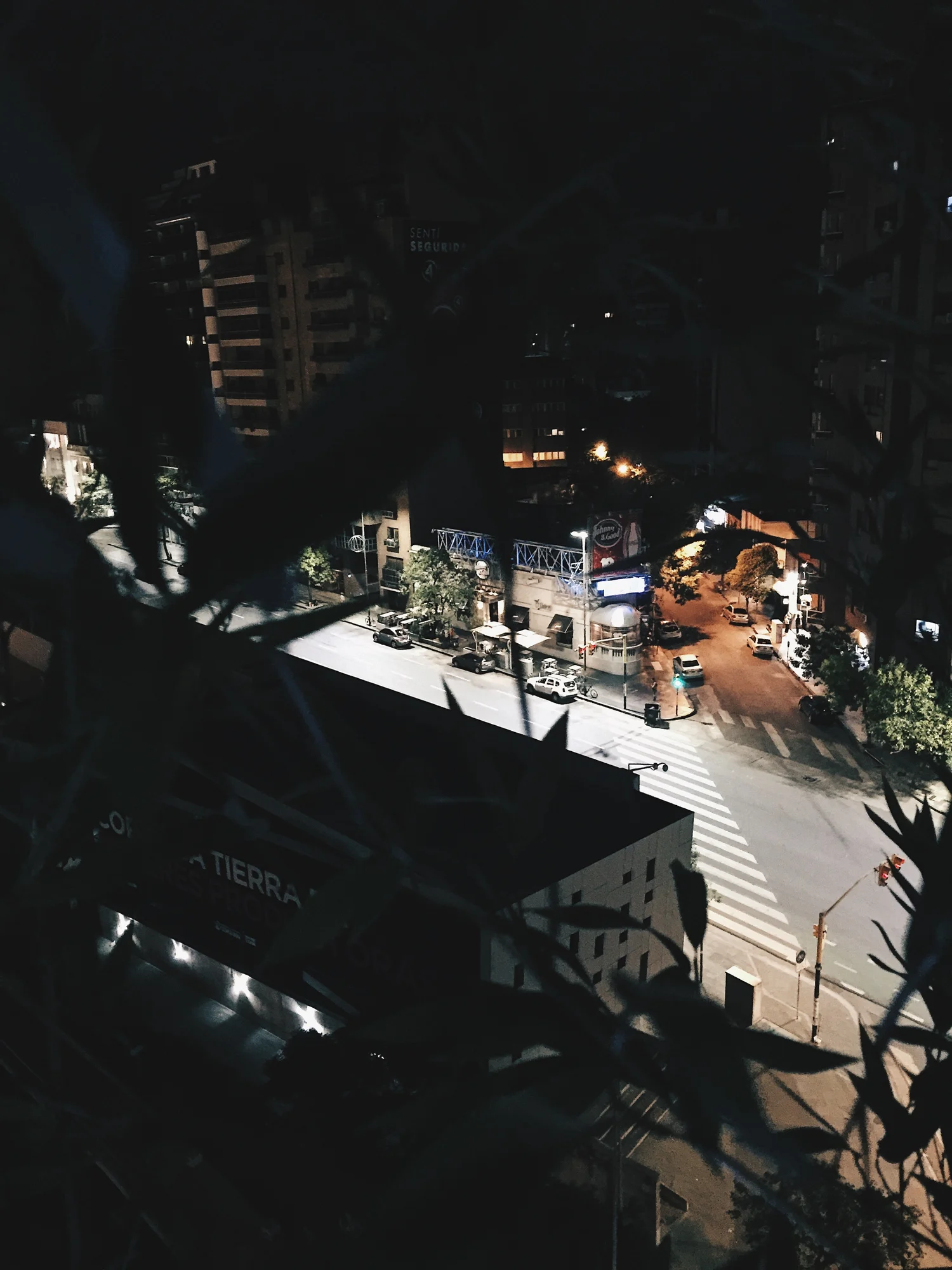 D902F772-A3B0-4321-A323-9F835396ABB7.jpg